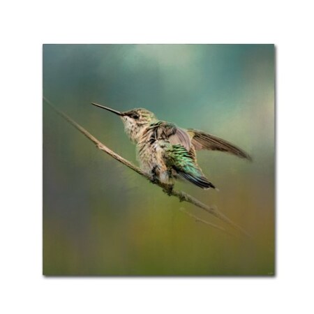 Trademark Fine Art Jai Johnson 'Hummingbird In Spring Storm' Canvas Art, 14x14 ALI14455-C1414GG
